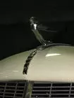 Skipper