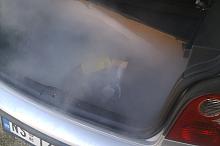 Click image for larger version

Name:	IMAG0034.jpg
Views:	111
Size:	440.7 KB
ID:	881108